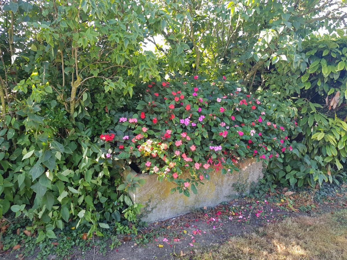 A La Campagne ,Halte ,Sejour Et Detente Moncontour  Kültér fotó